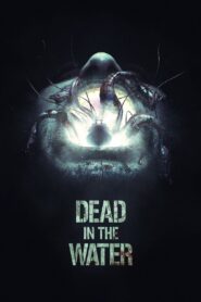 Dead in the Water 2018 one on netflix