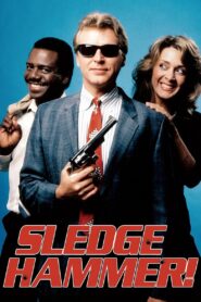 Sledge Hammer! 1986 one on netflix