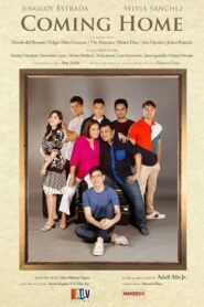 Coming Home 2020 one on netflix