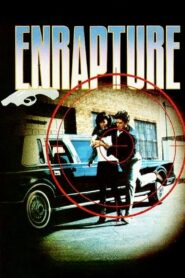 Enrapture 1990 one on netflix