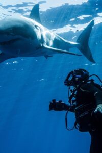 Swimming with Monsters 2013 one on netflix