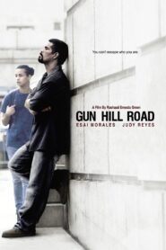 Gun Hill Road 2011 one on netflix