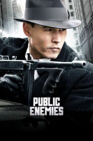 Public Enemies 2009 one on netflix