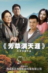 芳草满天涯 2023 one on netflix