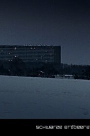 Schwarze Erdbeeren 2005 one on netflix