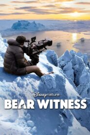 Bear Witness 2022 one on netflix