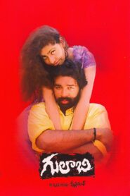 Gulabi 1995 one on netflix