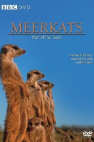 Meerkats: Part of the Team 2002 one on netflix