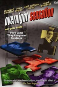 Overnight Sensation 2000 one on netflix