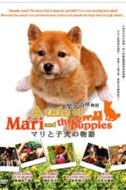 A Tale of Mari and Three Puppies 2007 one on netflix