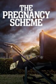 The Pregnancy Scheme 2023 one on netflix