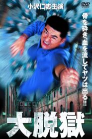 The Great Jailbreak 2002 one on netflix