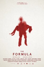 The Formula 2016 one on netflix