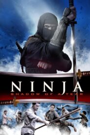 Ninja: Shadow of a Tear 2013 one on netflix