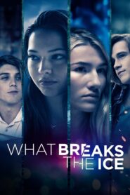 What Breaks the Ice 2020 one on netflix