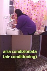 Air Conditioning 2005 one on netflix