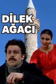 Dilek Ağacı 2008 one on netflix