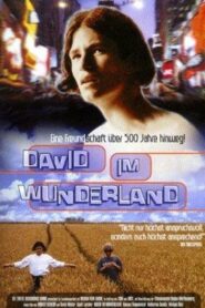 David im Wunderland 1998 one on netflix