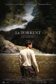 The Torrent 2012 one on netflix