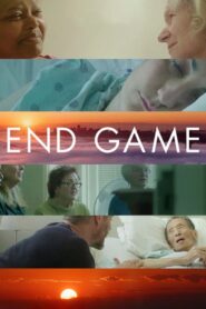 End Game 2018 one on netflix