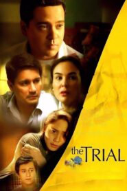 The Trial 2014 one on netflix