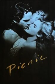 Picnic 1986 one on netflix