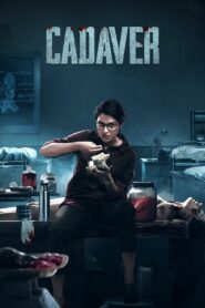 Cadaver 2022 one on netflix