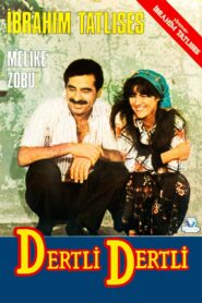 Dertli Dertli 1987 one on netflix