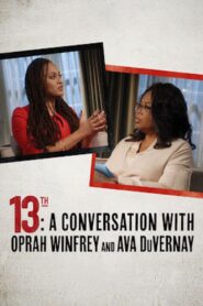 13th: A Conversation with Oprah Winfrey & Ava DuVernay 2017 one on netflix