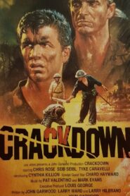 Crackdown 1988 one on netflix