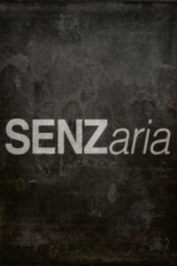 SENZaria 2014 one on netflix