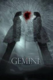 Gemini 2014 one on netflix