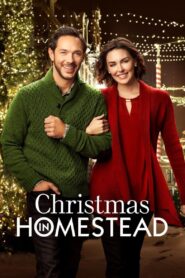 Christmas in Homestead 2016 one on netflix