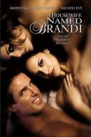 A Housewife Named Brandi 2003 one on netflix