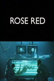Rose Red 1994 one on netflix