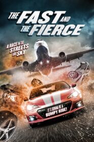 The Fast and the Fierce 2017 one on netflix