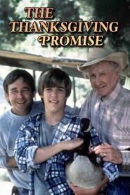 The Thanksgiving Promise 1986 one on netflix