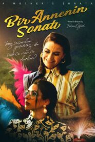 A Mother’s Sonata 2020 one on netflix