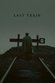 Last Train 2010 one on netflix