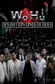 Wo Hu 2006 one on netflix