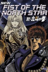 New Fist of the North Star: The Cursed City 2003 one on netflix