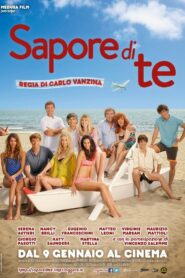 Taste Of You 2014 one on netflix