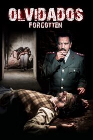 Forgotten 2014 one on netflix