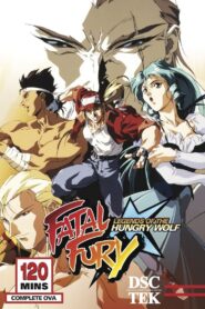 Fatal Fury: Legend of the Hungry Wolf 1992 one on netflix