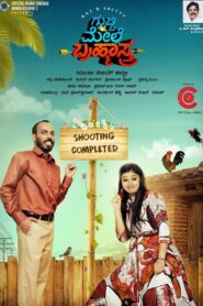 Gubbi Mele Brahmastra 2019 one on netflix