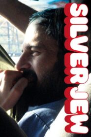 Silver Jew 2007 one on netflix