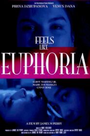 Feels Like Euphoria 2017 one on netflix