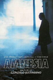 Amnesia 1994 one on netflix