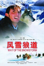 Way of the Snowstorm 2007 one on netflix