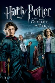 Harry Potter and the Goblet of Fire 2005 one on netflix
